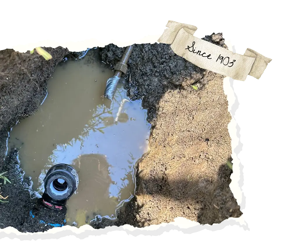 Frame 1618873238 2 1