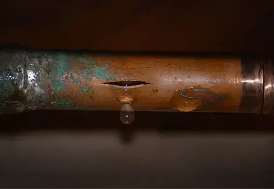 image 5 e1753964153650