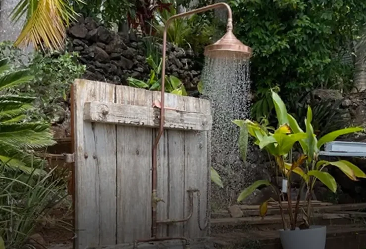 image 9 e1753961352944